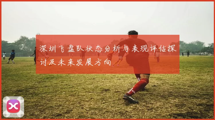 深圳飞盘队状态分析与表现评估探讨及未来发展方向