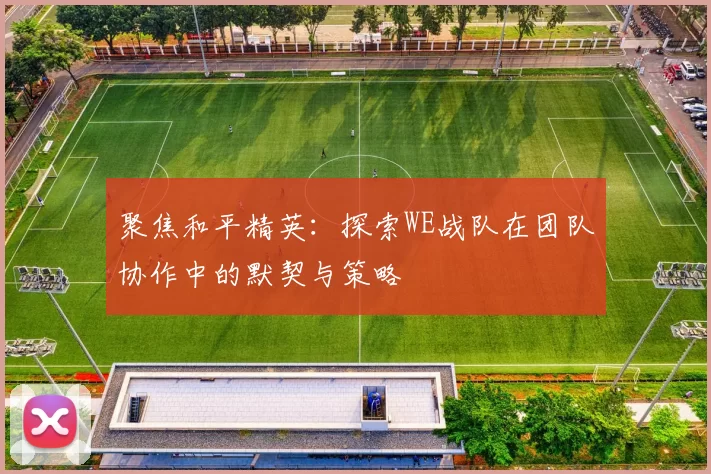 聚焦和平精英：探索WE战队在团队协作中的默契与策略