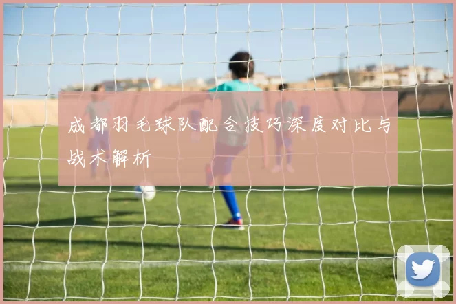 成都羽毛球队配合技巧深度对比与战术解析